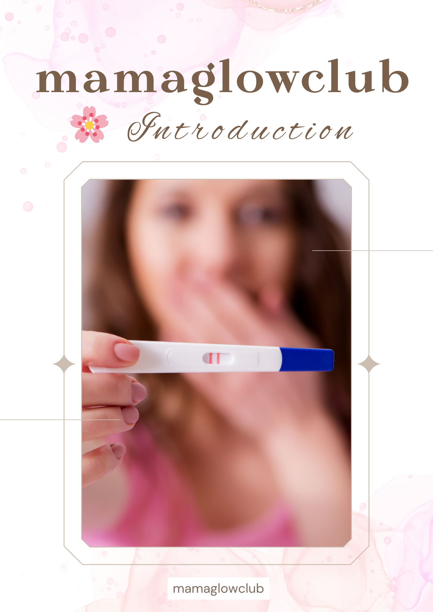 🌸 The Ultimate Postpartum Bundle + all other E-books!